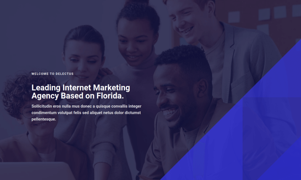 Leading Internet Marketing
